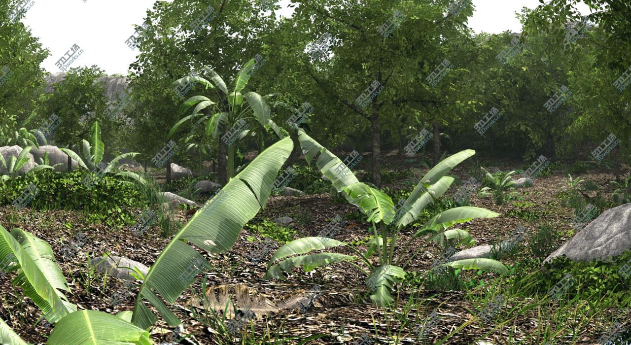 images/goods_img/202104094/Jungle Scene/1.jpg